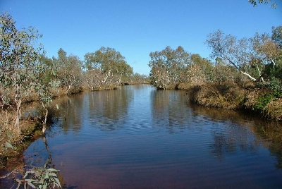 -North Pool bei Wiluna laedt ein zum Baden.jpg